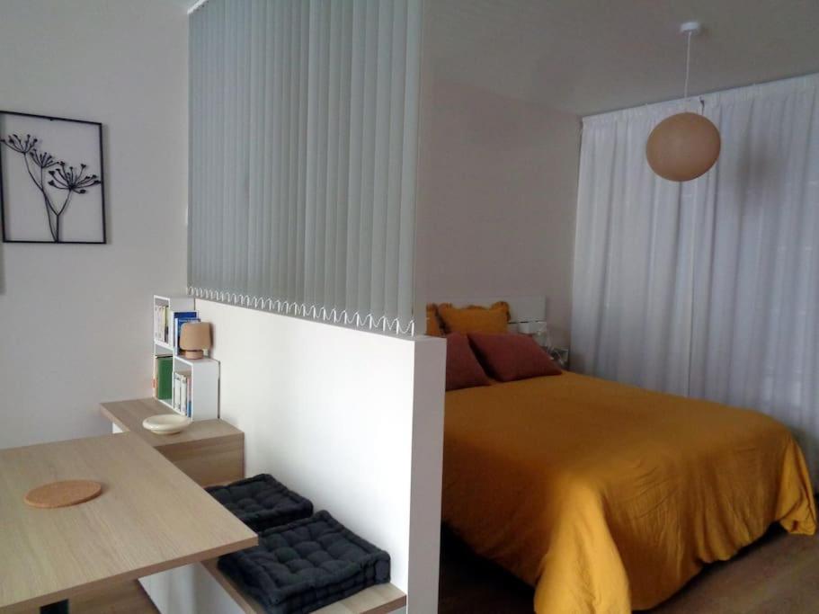 Appartement Hestia F1 Bis + Terrasse Hyper Centre Лон-льо-Соние Екстериор снимка